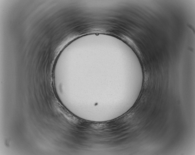 X0000102251435200808221343