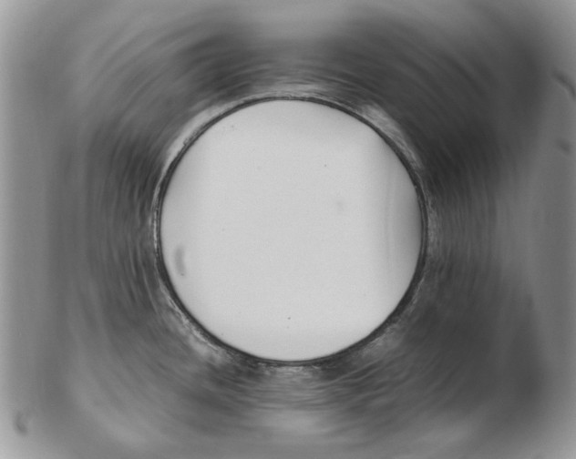 X0000102251436200808221343