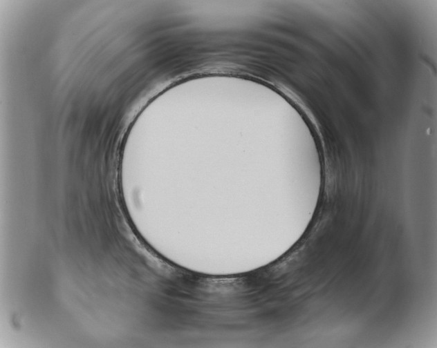 X0000102251437200808221343