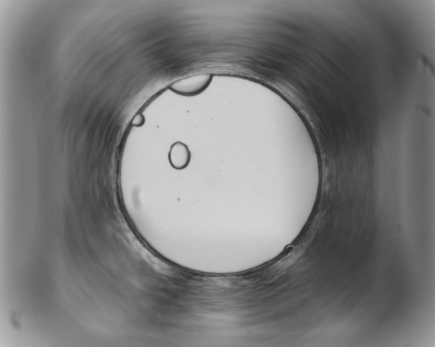 X0000102251438200808221343