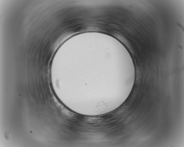 X0000102251439200808221343
