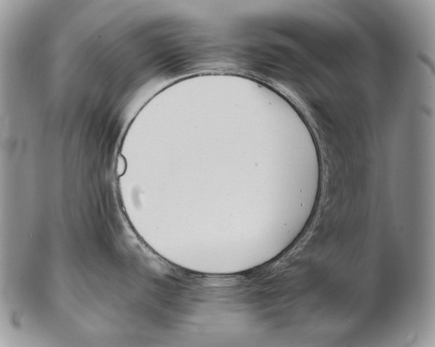 X0000102251440200808221343