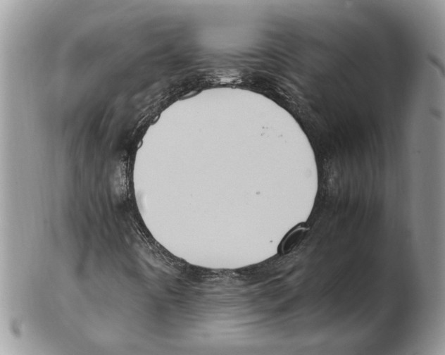 X0000102251442200808221342