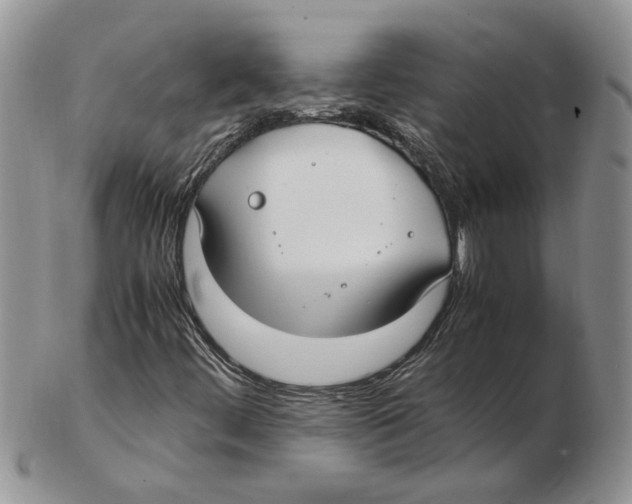 X0000102251444200808221342