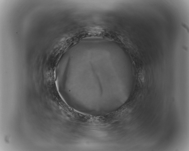 X0000102251445200808221342