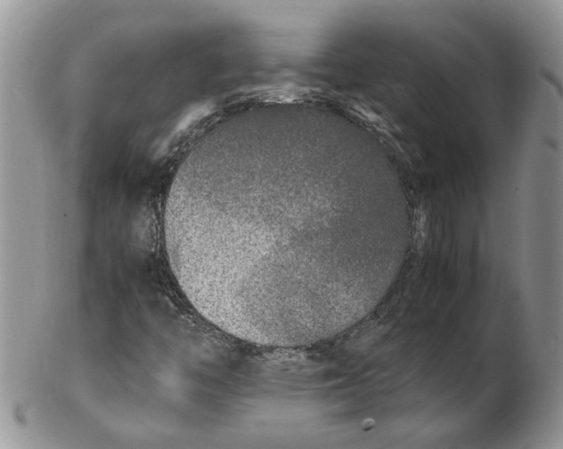 X0000102251446200808221342