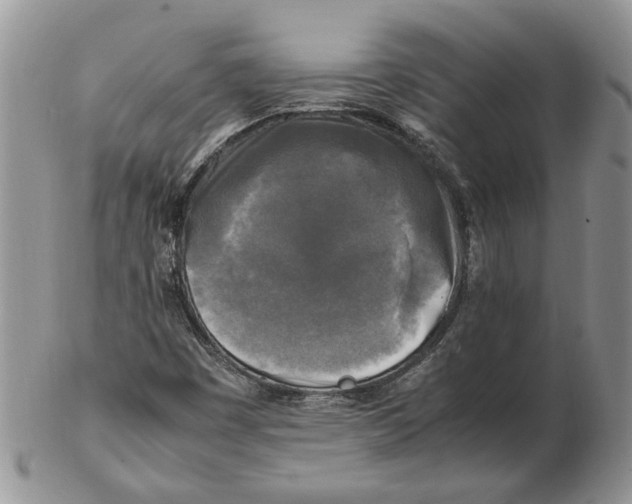 X0000102251449200808221342