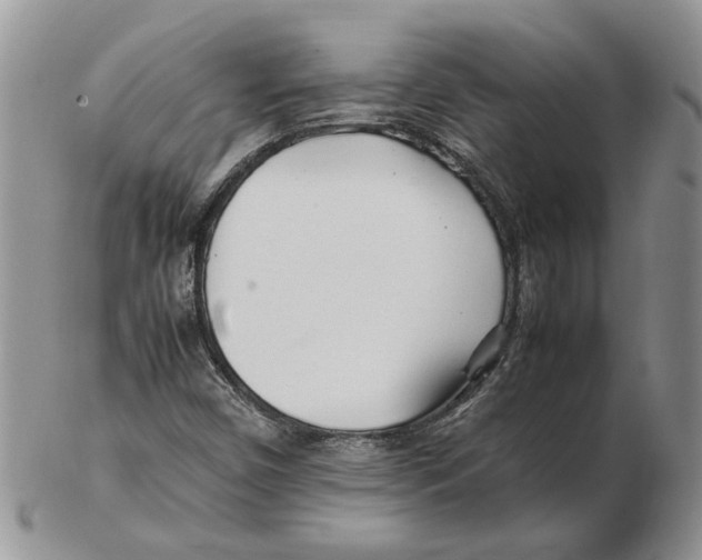 X0000102251450200808221342