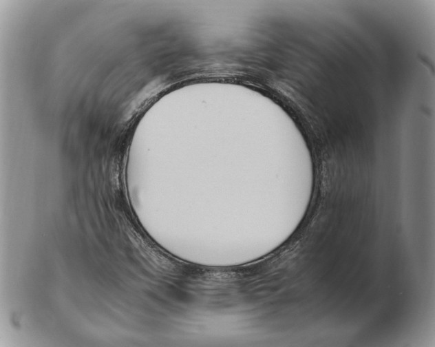X0000102251451200808221342