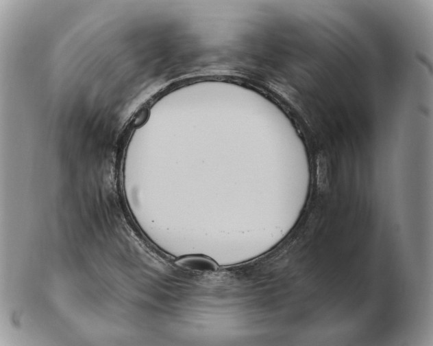 X0000102251452200808221342