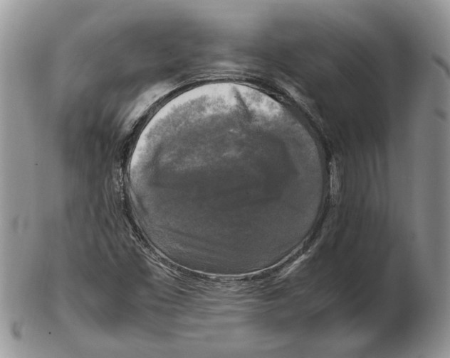 X0000102251453200808221342