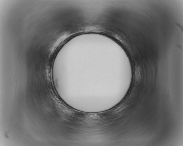 X0000102251454200808221342