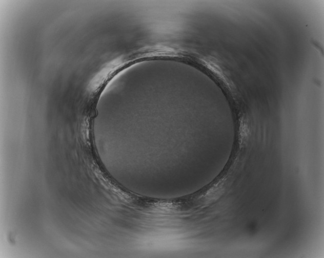 X0000102251455200808221342