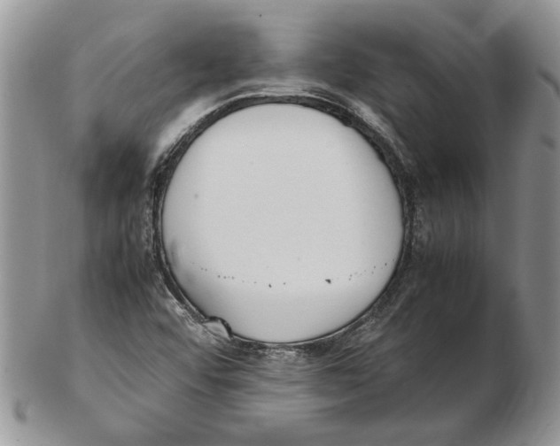 X0000102251456200808221342