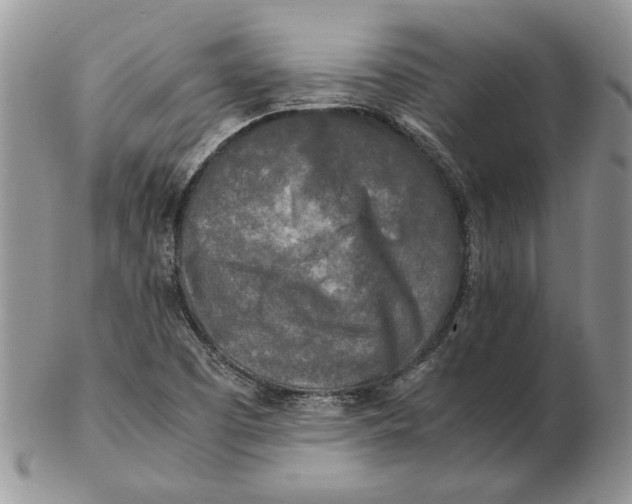 X0000102251457200808221342