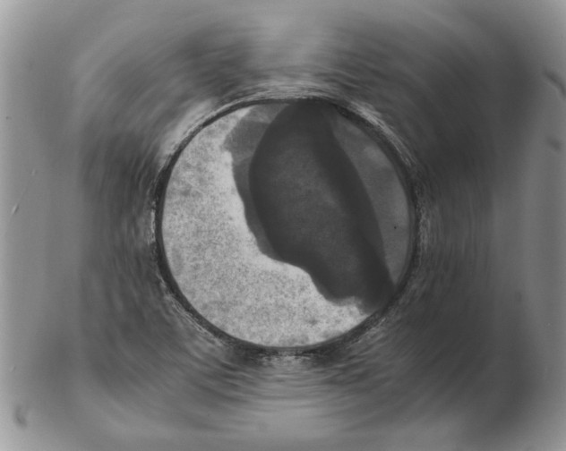 X0000102251459200808221342