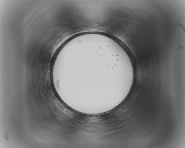 X0000102251460200808221342