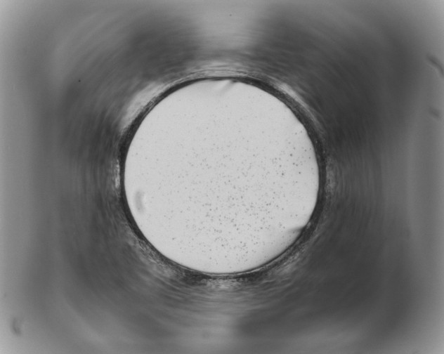X0000102251461200808221342