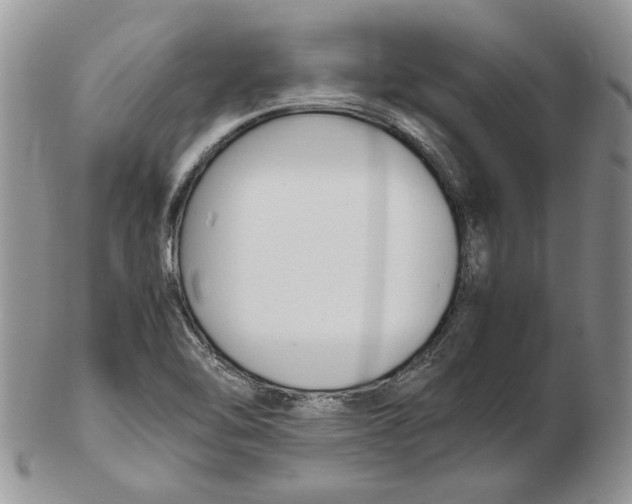 X0000102251462200808221342