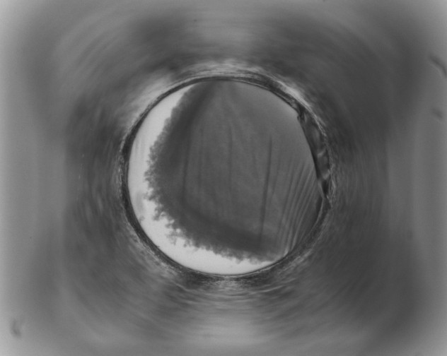 X0000102251463200808221342