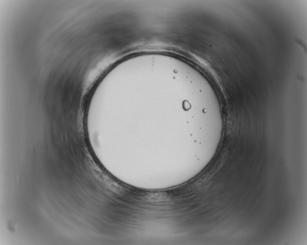 X0000102251464200808221342