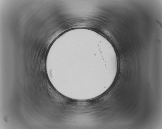 X0000102251465200808221342