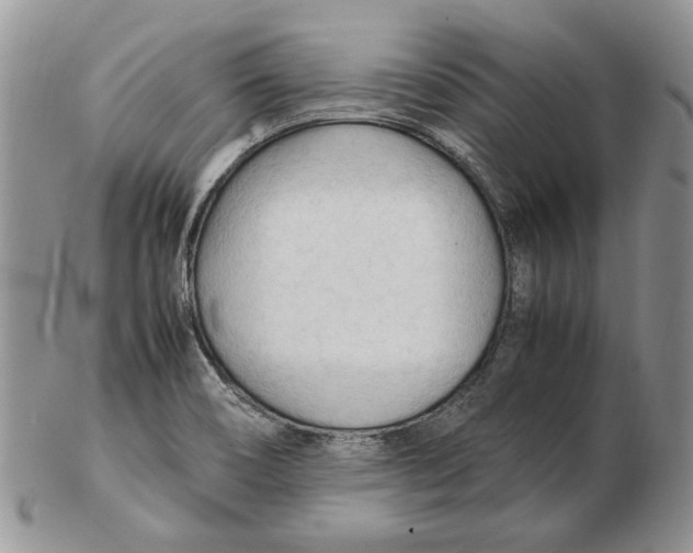 X0000102251466200808221342