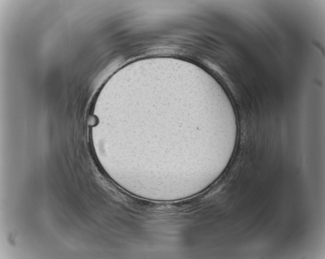 X0000102251467200808221342