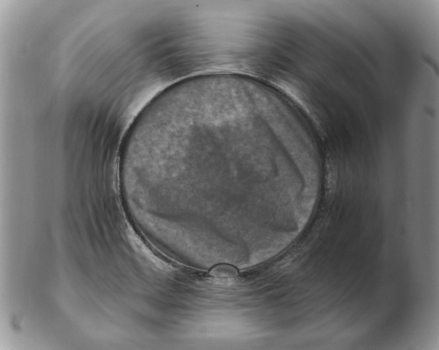 X0000102251468200808221342