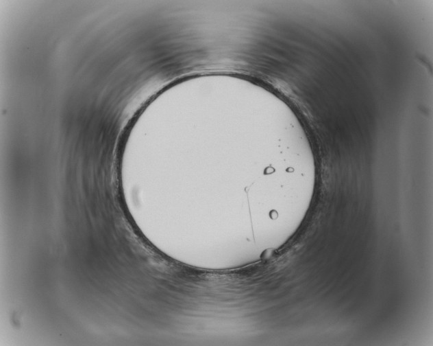 X0000102251469200808221342