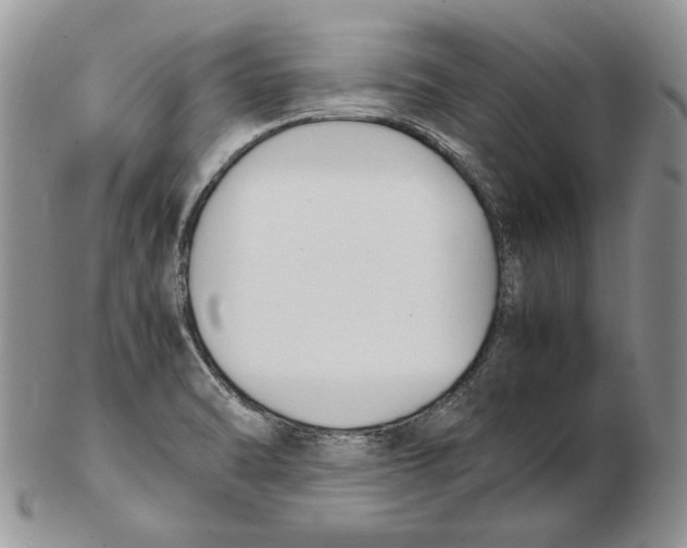 X0000102251470200808221342
