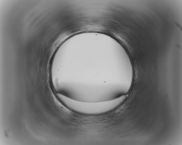 X0000102251471200808221342