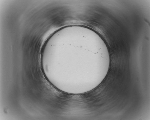 X0000102251472200808221342