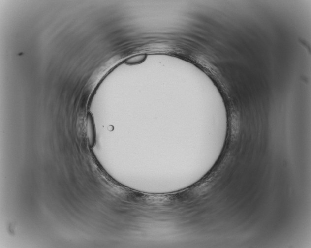 X0000102251473200808221342