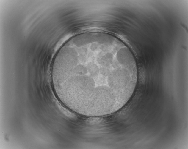 X0000102251474200808221342