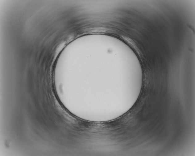 X0000102251475200808221342