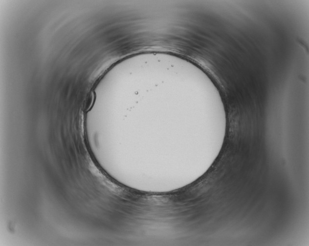 X0000102251476200808221342