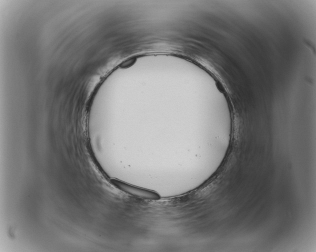 X0000102251477200808221342