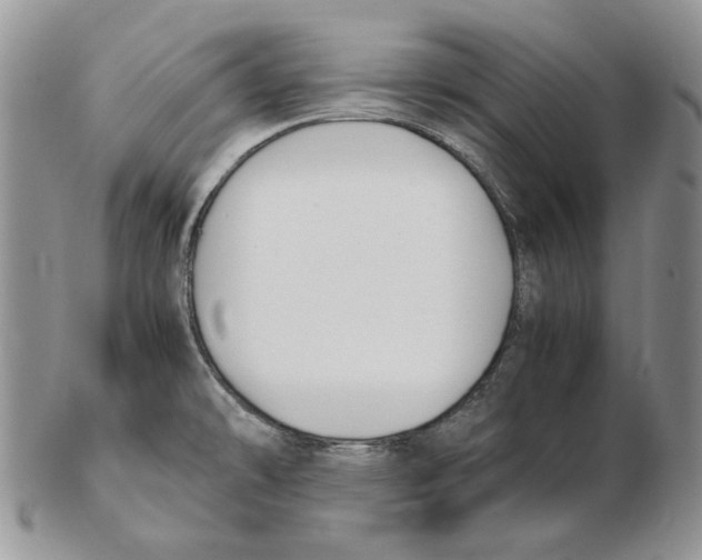 X0000102251478200808221342