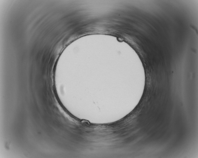 X0000102251479200808221342