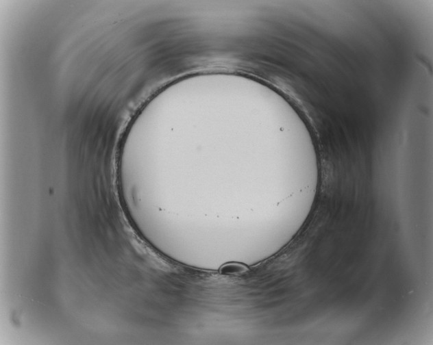 X0000102251480200808221342
