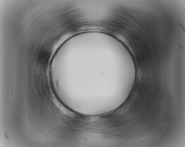 X0000102251482200808221342