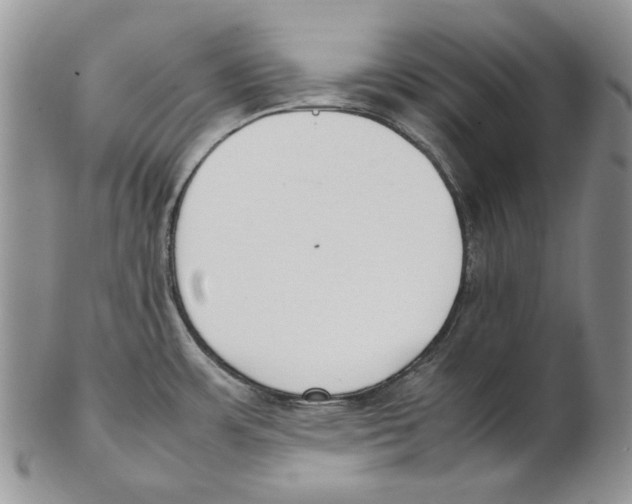 X0000102251483200808221341
