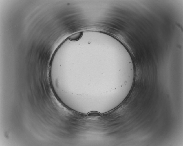 X0000102251484200808221341
