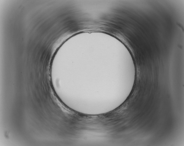 X0000102251485200808221341