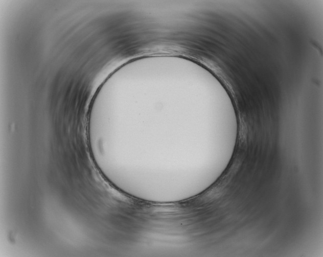 X0000102251486200808221341