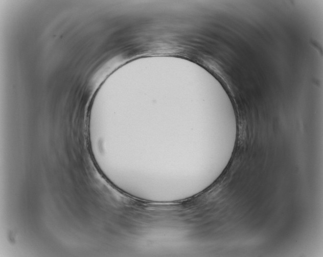 X0000102251487200808221341
