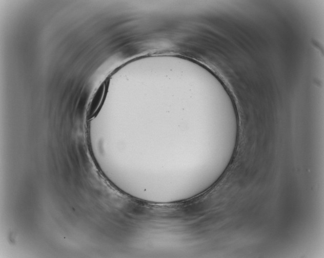 X0000102251488200808221341