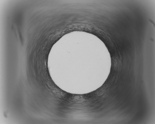 X0000102251489200808221341