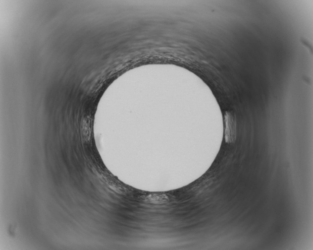 X0000102251491200808221341